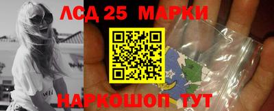 скорость Заволжье