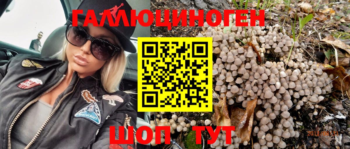 Псилоцибиновые грибы Psilocybine cubensis  Вход с VPN  Кунгур  Псилоцибиновые грибы Psilocybe 
