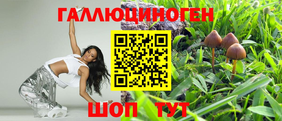 Псилоцибиновые грибы Cubensis Кунгур